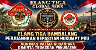 Elang Tiga Hambalang Desak Agrinas Beri Kepastian Status Penugasan PT PKU di Bengkalis